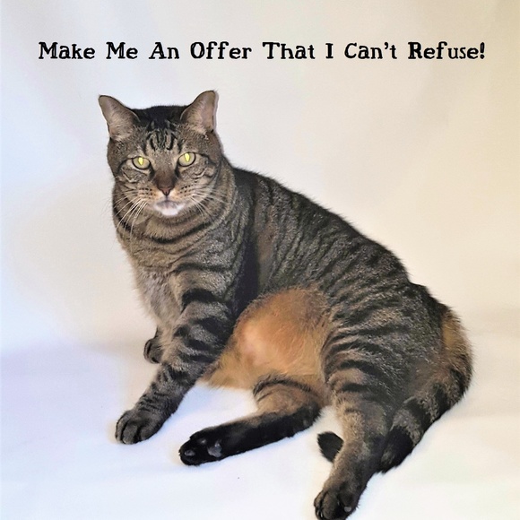 Accessories - I love offers! Lets Bundle! Accessories - I love offers! Lets Bundle!